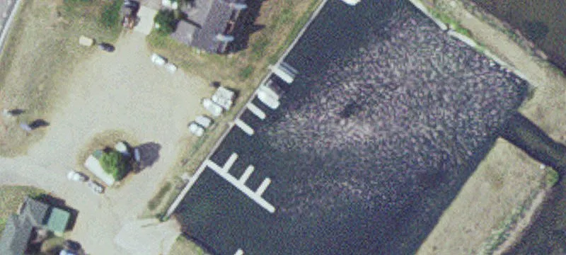 Garrison, MN 56450