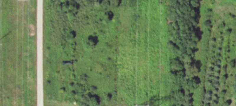 Adams, MN 55909