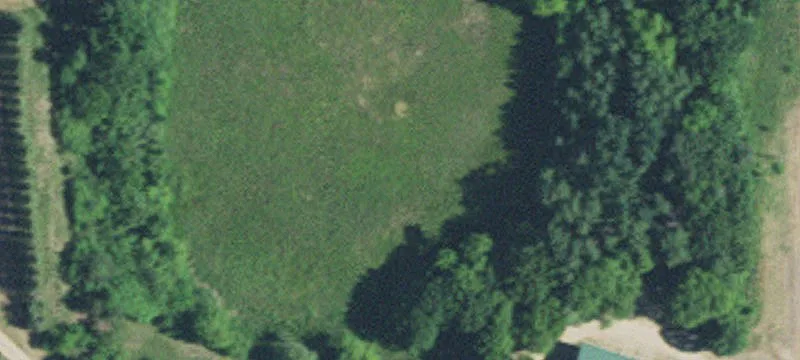 New London, MN 56273
