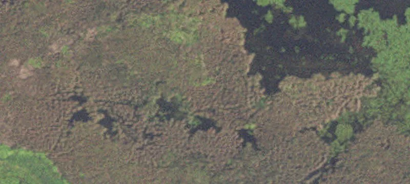 Winona, MN 55987