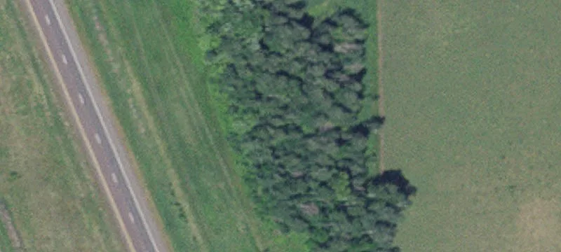 Milaca, MN 56353