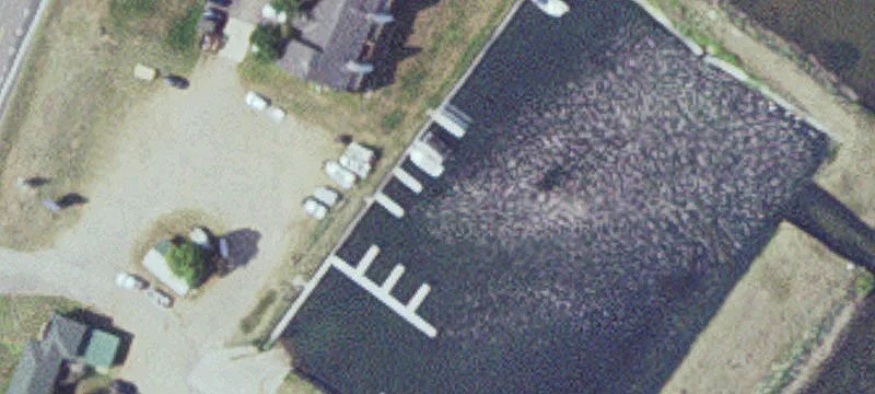 Garrison, MN 56450