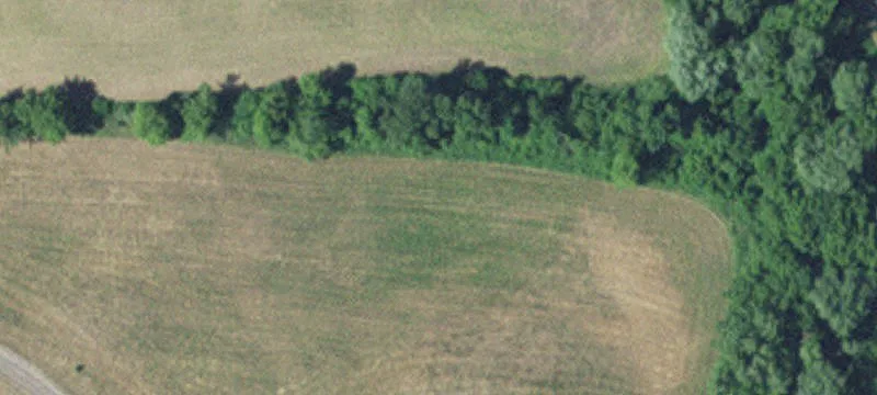 Eden Valley, MN 55329