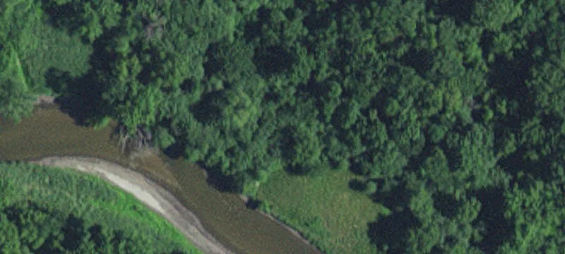 Watson, MN 56295