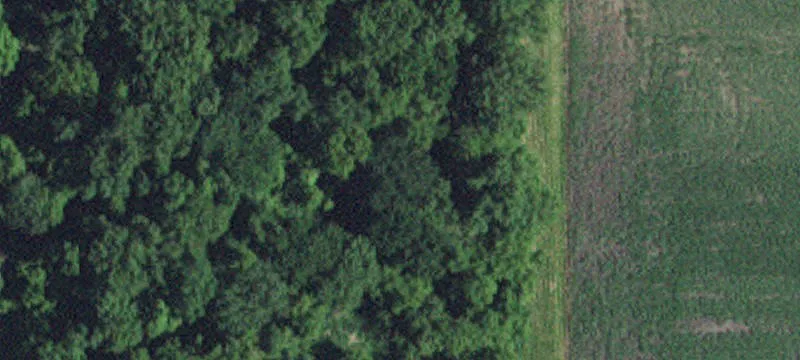 Watson, MN 56295
