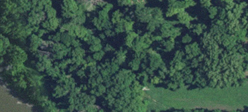 Montevideo, MN 56265
