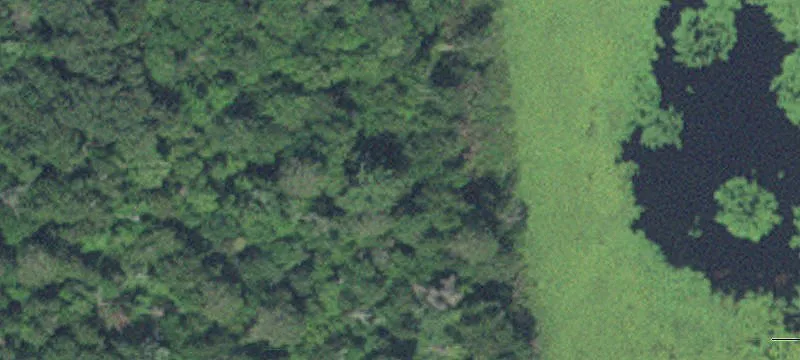 Akeley, MN 56433