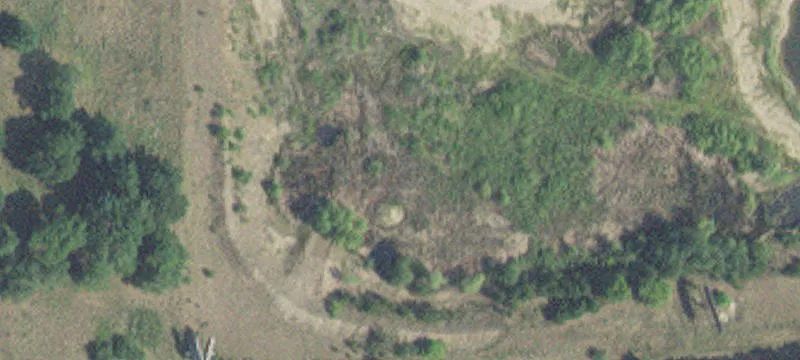 Pillager, MN 56473