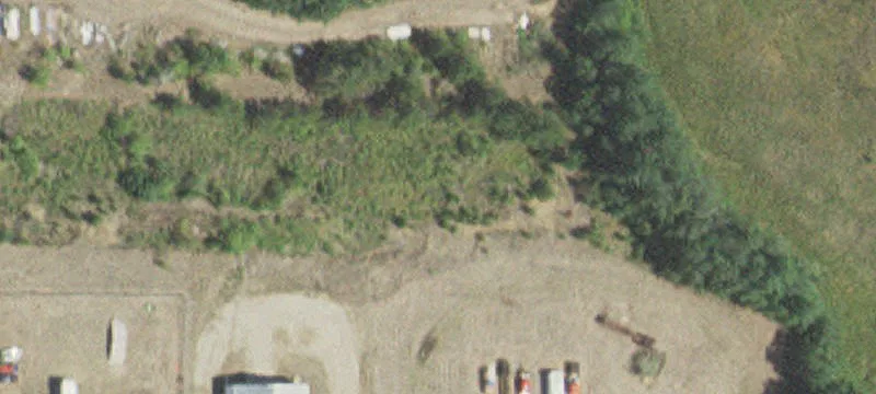  Pine