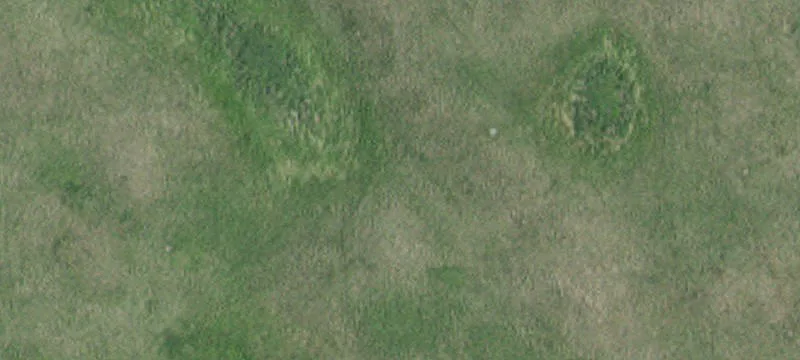 Appleton, MN 56208