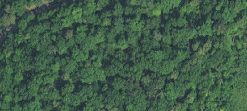 Nisswa, MN 56468