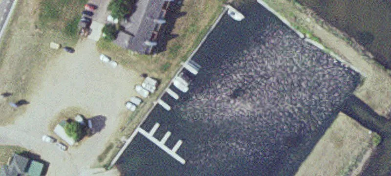 Garrison, MN 56450