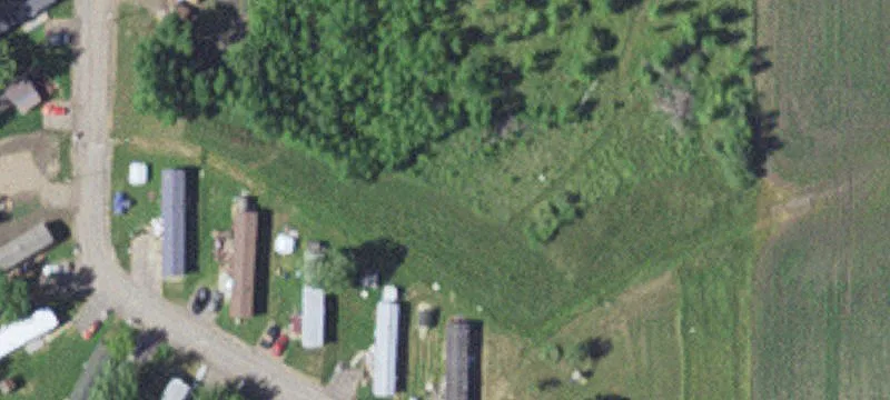 Foley, MN 56329