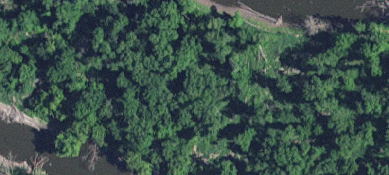 Montevideo, MN 56265