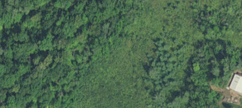 Nisswa, MN 56468