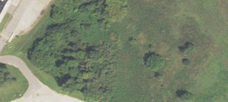 Winona, MN 55987