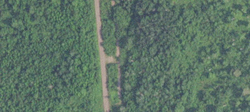 Schroeder, MN 55613