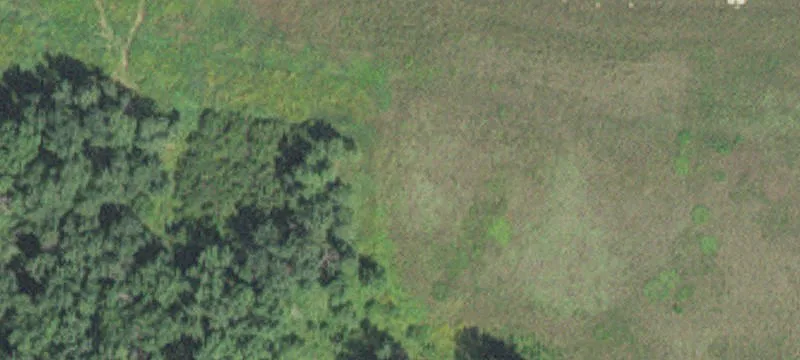 Wrenshall, MN 55797