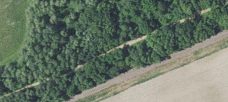 Foreston, MN 56330