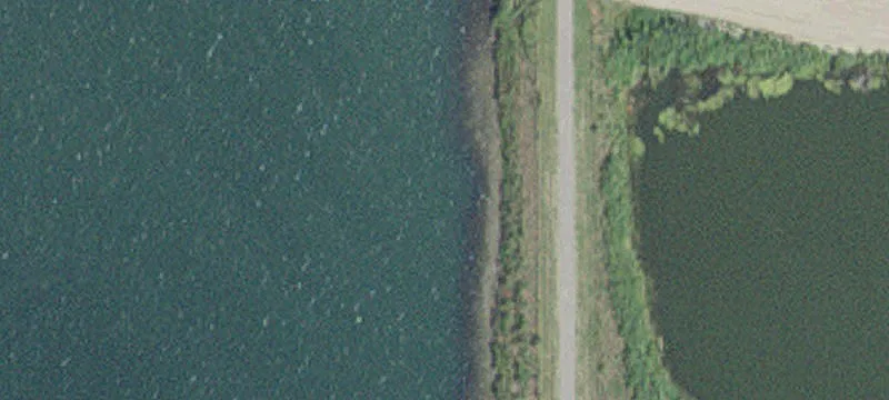 Rochester, MN 55902