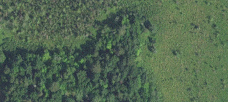 Nisswa, MN 56468
