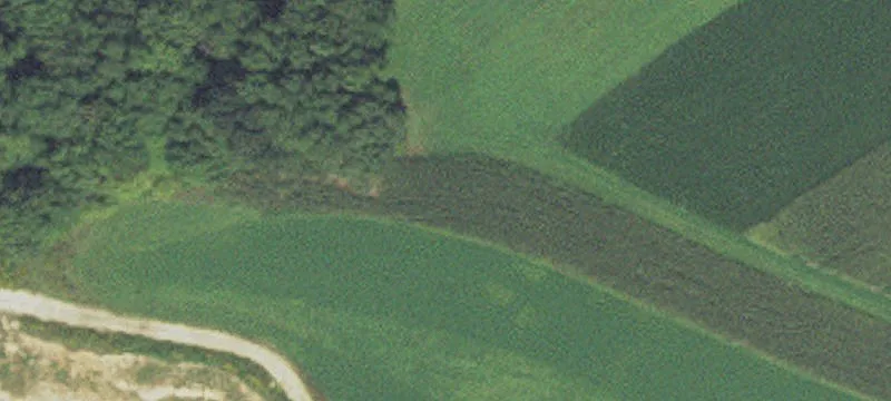 Winona, MN 55987