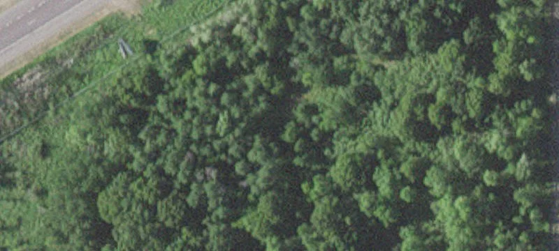 Waite Park, MN 56387