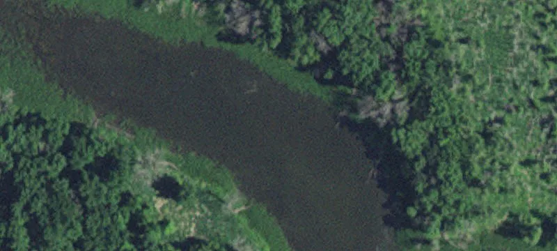 Montevideo, MN 56265