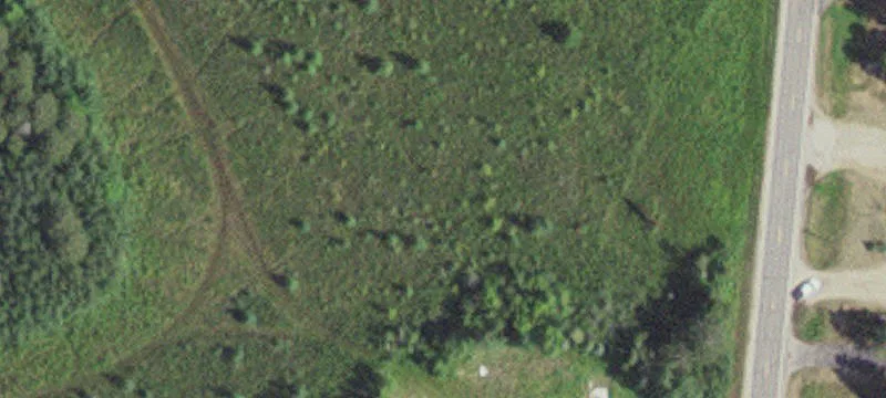 Longville, MN 56655