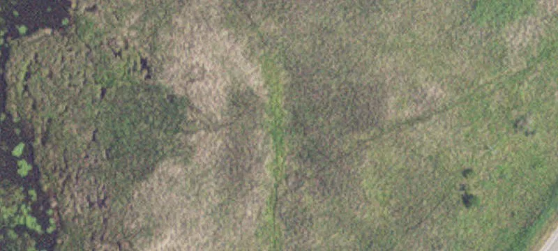 Pelican Rapids, MN 56572
