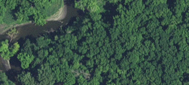 Montevideo, MN 56265