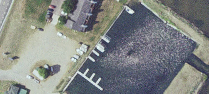 Garrison, MN 56450