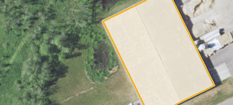 Foley, MN 56329