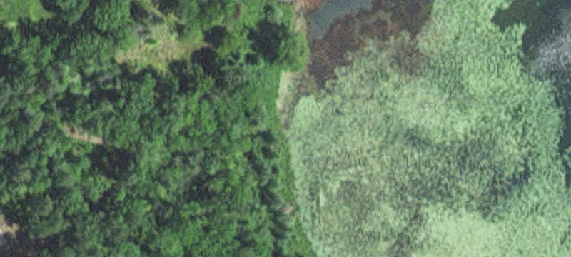 Hackensack, MN 56452