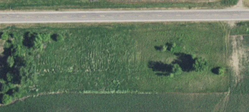 Montevideo, MN 56265
