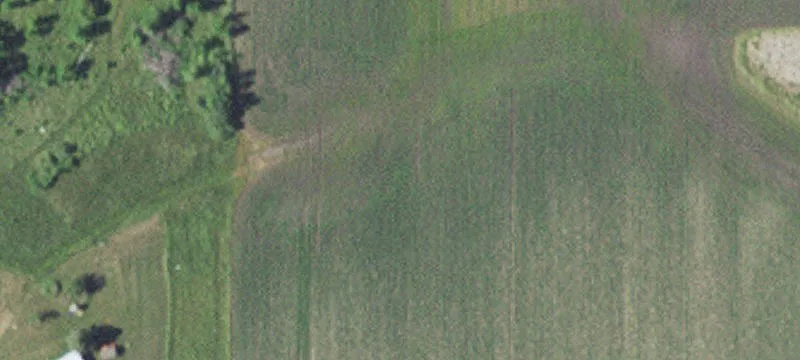 Foley, MN 56329