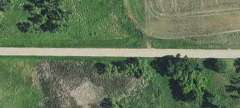 Milan, MN 56262