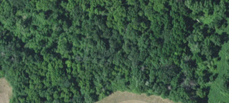 Cold Spring, MN 56320