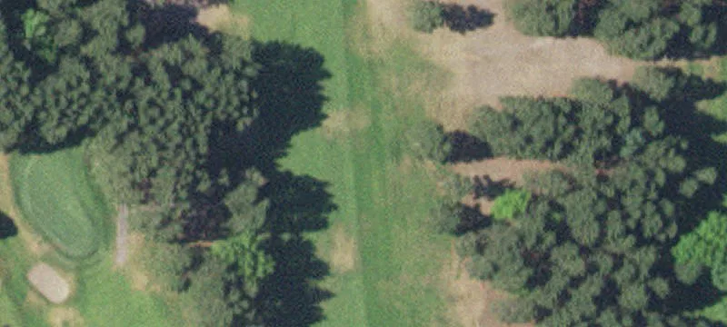 Rice, MN 56367