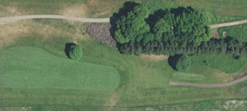 Scheuneman Rd