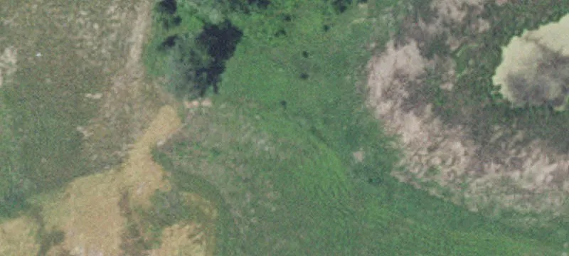 Rogers, MN 55374