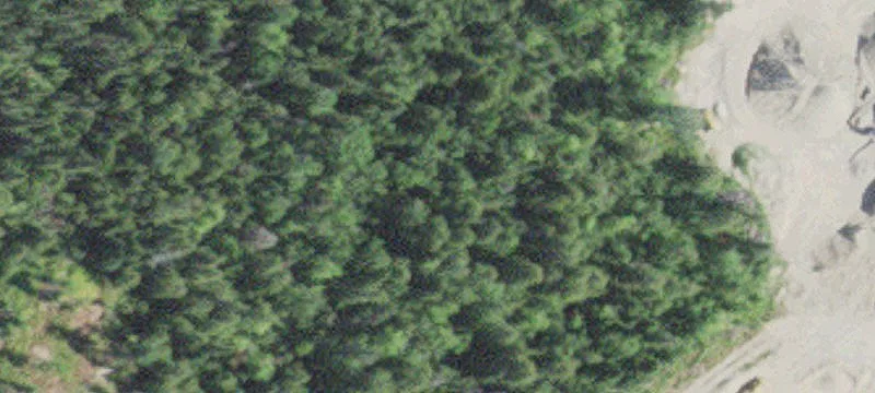 Angora, MN 55703