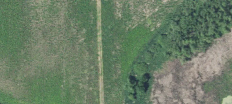 Maple Grove, MN 55311