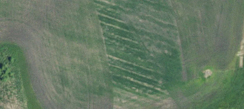 Willmar, MN 56201