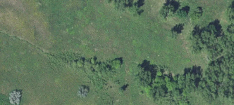 1650 Mcglynn Rd