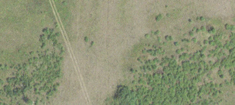 Roosevelt, MN 56673