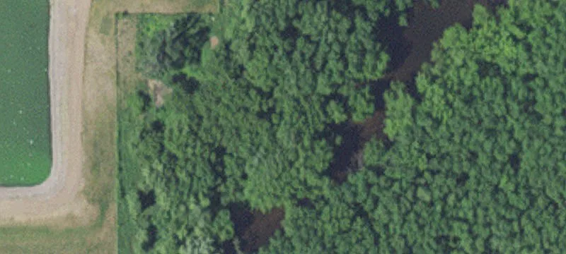Foreston, MN 56330