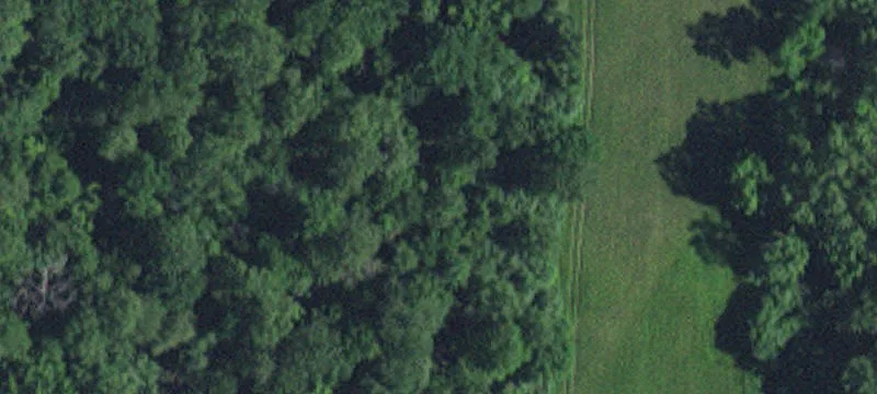 Watson, MN 56295