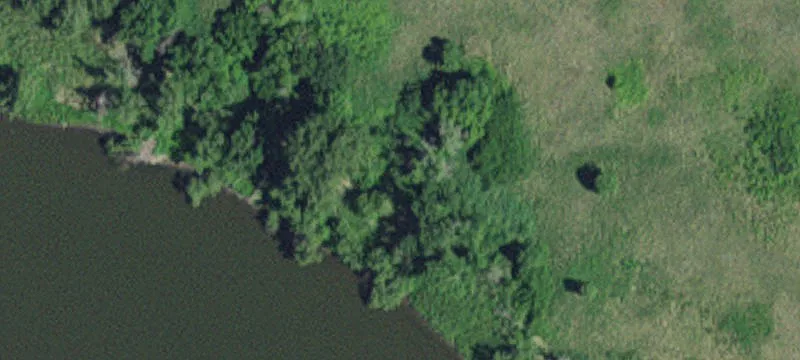 Milan, MN 56262