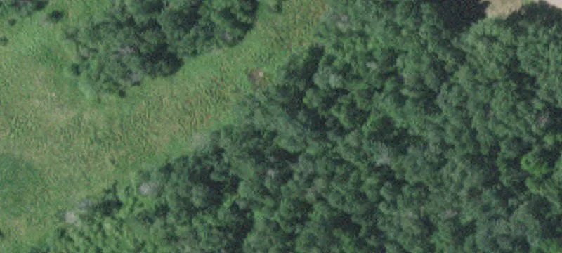 Little Falls, MN 56345